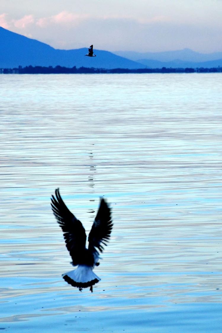 深秋的私语,美文美图经典欣赏