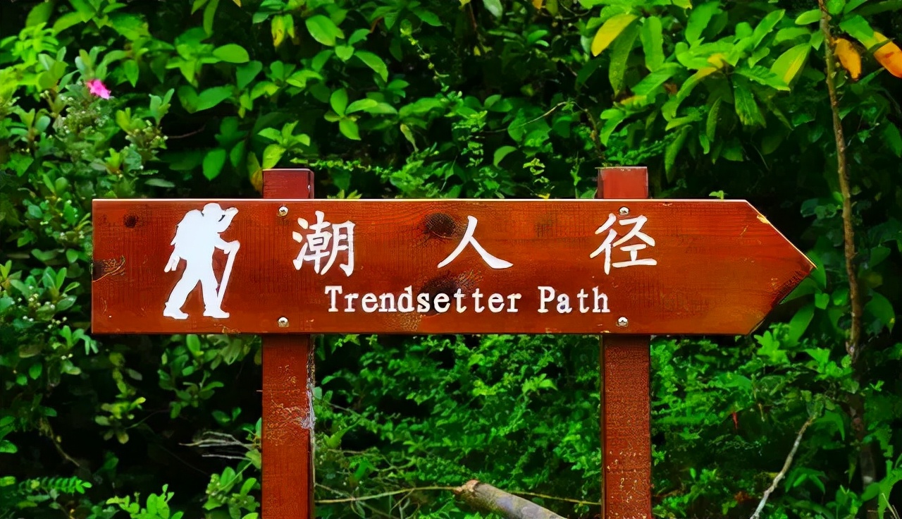 广东的海岛和海南的岛能比吗,广东的一个小岛