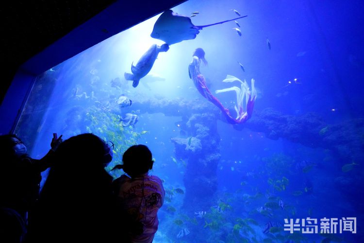 半岛聚焦丨今天我是你:女记者变身美人鱼,“变美”并不容易