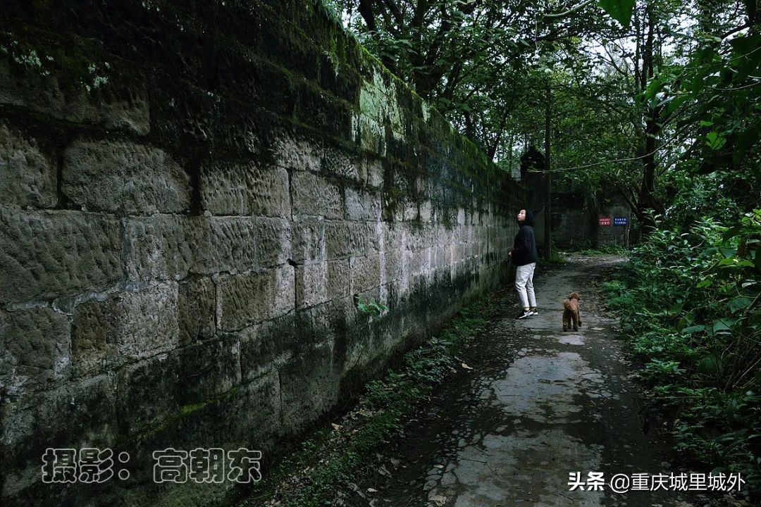 重庆的一个小岛,重庆江心岛是哪里