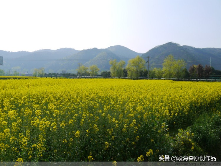 微信朋友圈原创内容,微信朋友圈原创文章