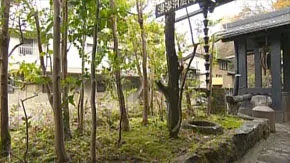 外行去别府，内行来黑川：置之死地而后生，九州最好玩的温泉街