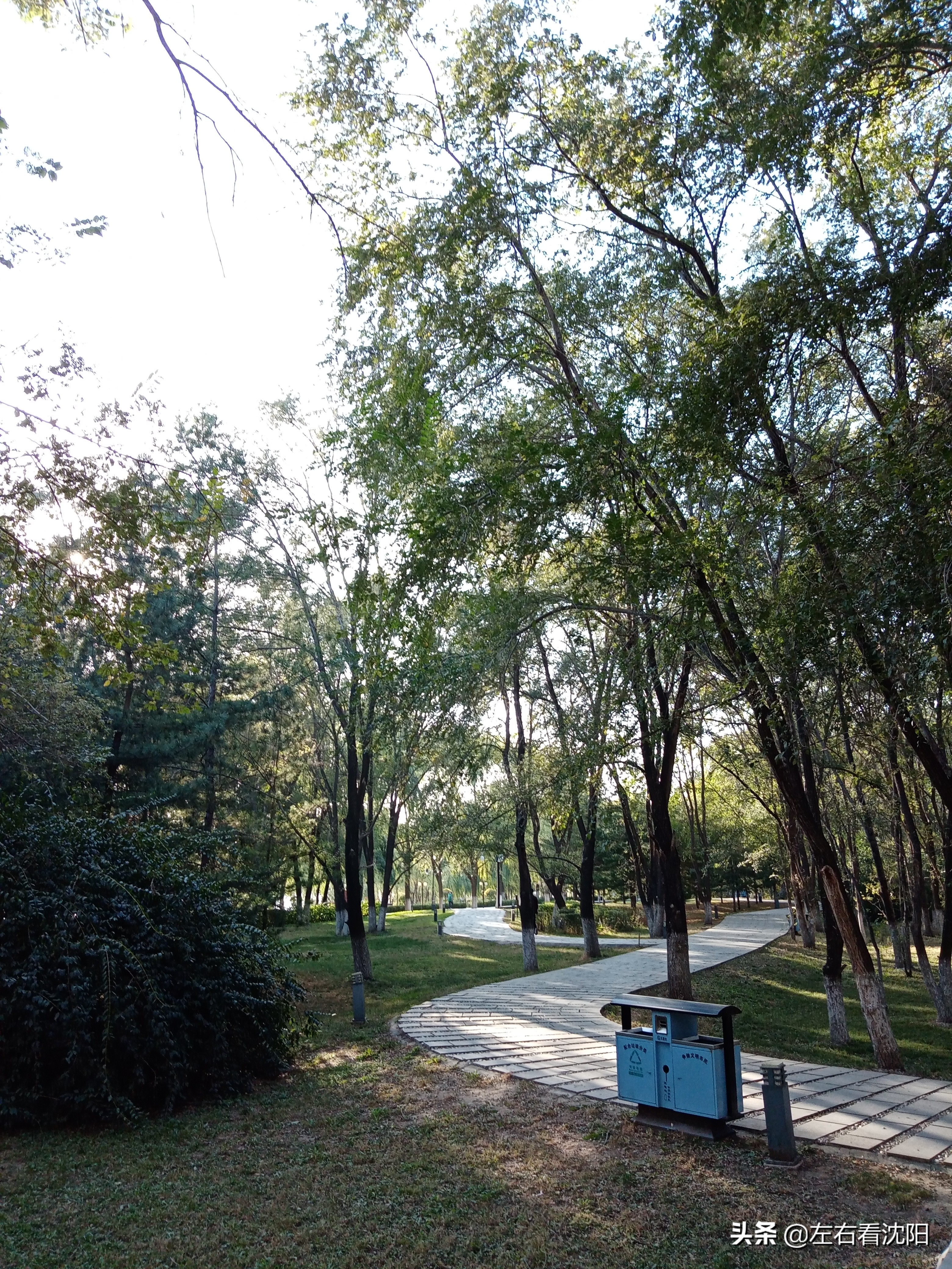 沈阳沈水湾公园看日出,沈阳浑河看海的地方