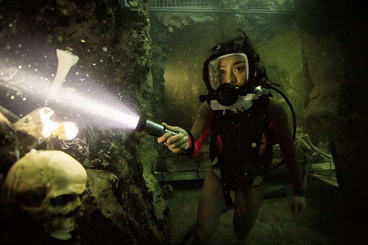 鲨海逃生上映电影,鲨海逃生史泰龙