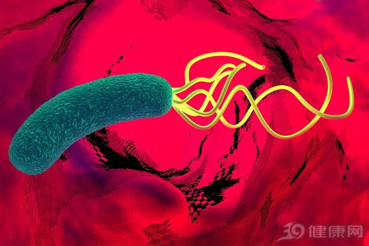 幽门螺杆菌最怕什么中药材,幽门螺杆菌的危害你真的了解吗