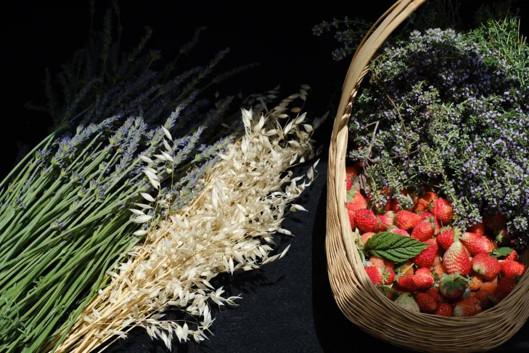 让农业回归原生态,呼唤传统农业回归