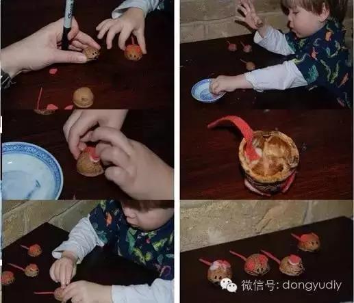 坚果壳艺术品,坚果壳能拿来做什么