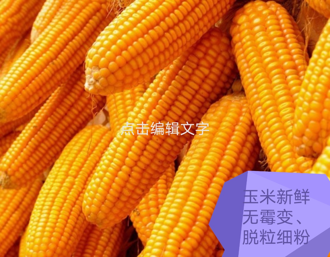 猪养不肥怎么办,猪养殖存在的问题及对策