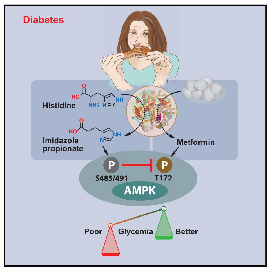 韩国三星保健品,韩国二甲双胍