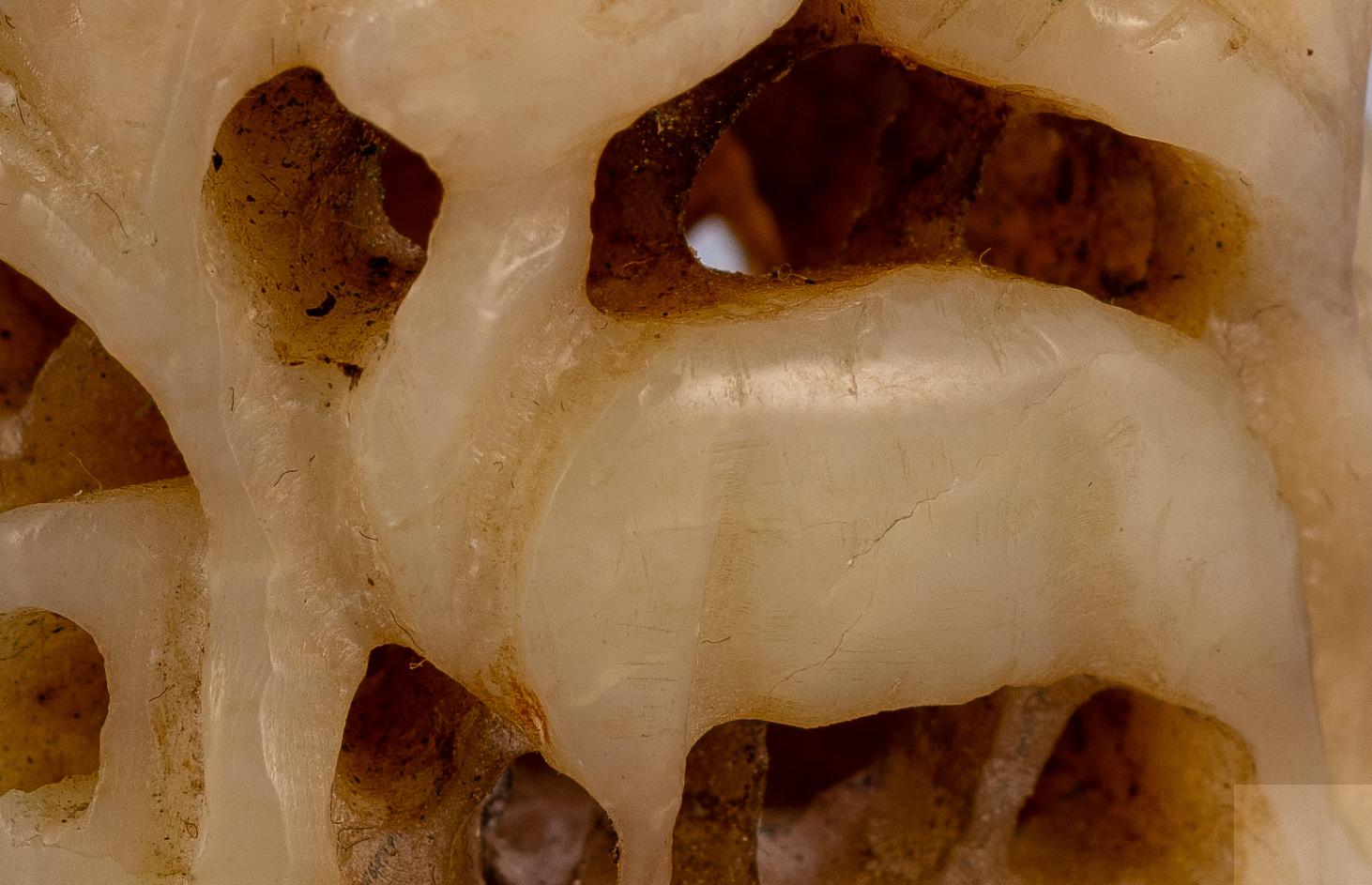 北京禾谷拍卖征集部,北京禾谷拍卖官方直播间