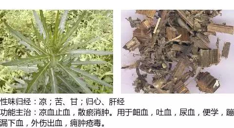 常用中草药名称大全图片及药效,常用中草药药效大全