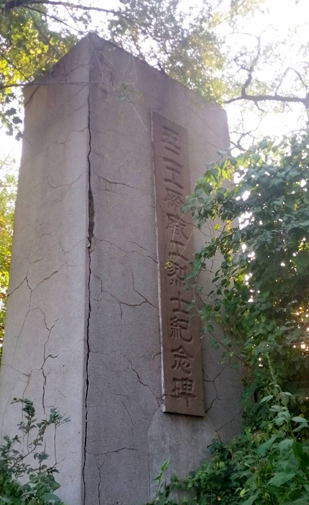 参观沈阳劳模纪念馆感想,参观沈阳历史博物馆的观后感