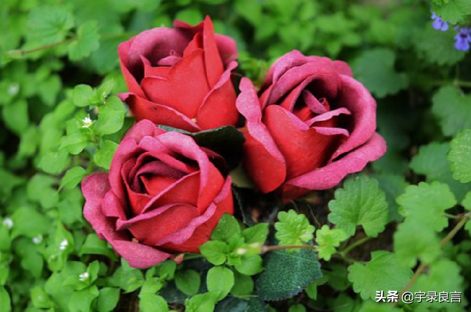 年度热门说说句子大全简短,精辟简短的经典说说