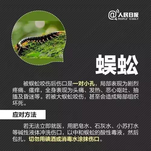 十大毒虫咬人后果,十大毒虫咬人了怎么办