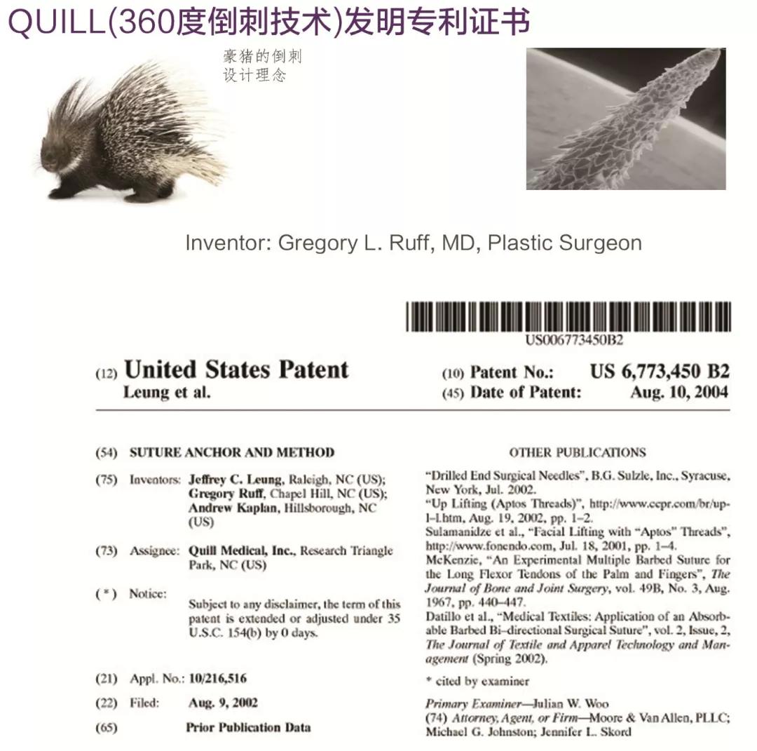 极限挑战医学解剖模型,极限挑战全肠道破损