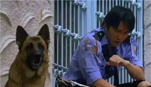 喜剧之王上映时间,喜剧之王2024开播时间