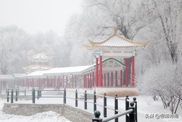 苏轼写给王闰之的诗,苏轼写给苏辙的诗句