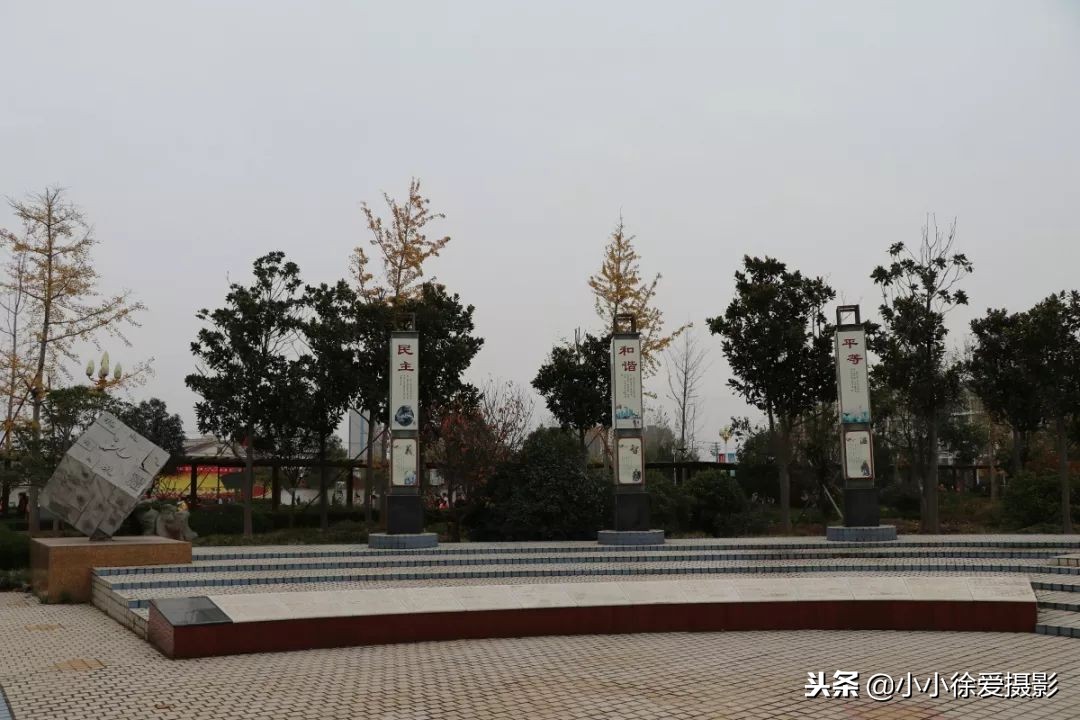 青口中心小学校,闽侯青口中心小学在哪儿