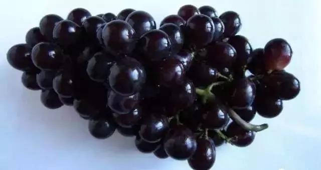 洗衣神器泡一泡就干净,颠覆洗衣液