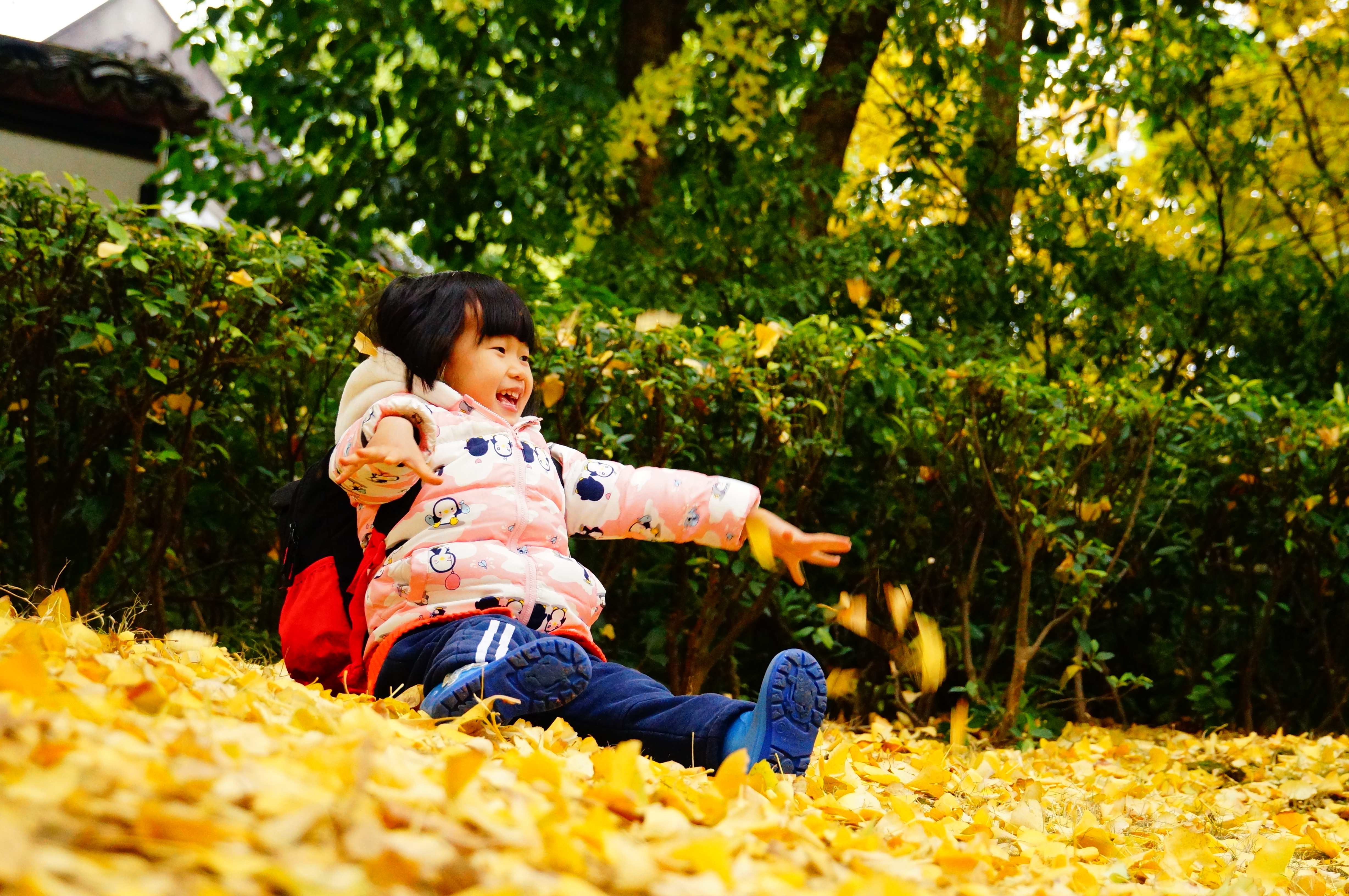 柳州的柳侯公园景色,柳州的秋天美景