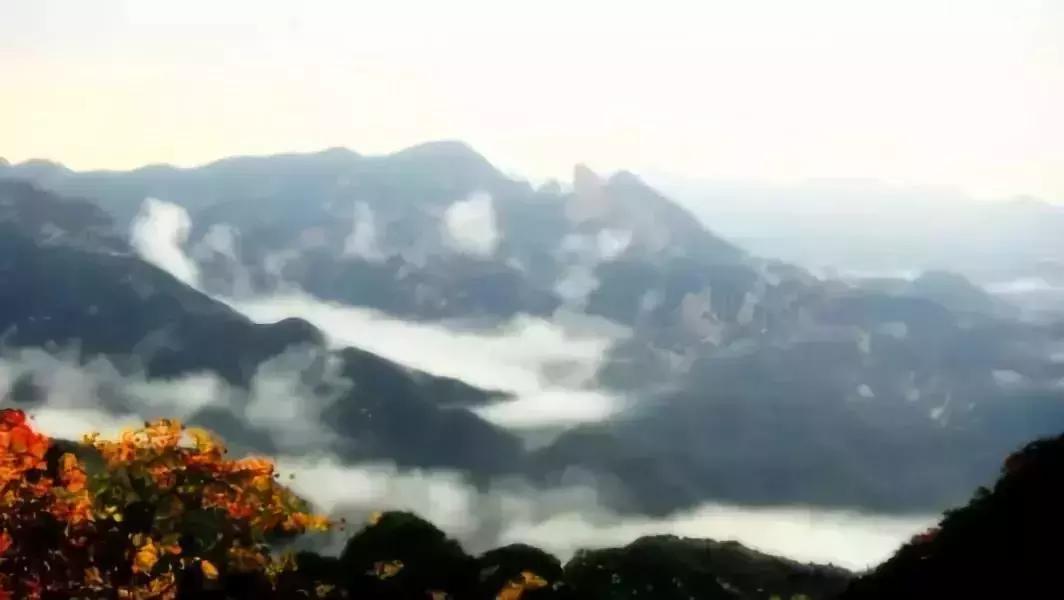 迎国庆，晋冀鲁年卡在手，说走就走，仙台山。巨龟苑、沕沕水免费