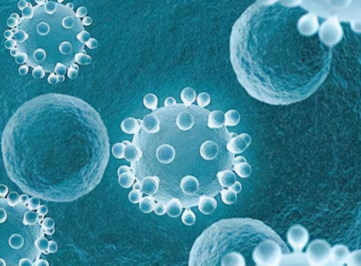 国家抗菌纺织品安全标准,抗菌纺织品检测视频