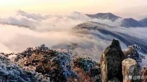 鏄槑绂呭浣忔寔,鏄槑绂呭淇