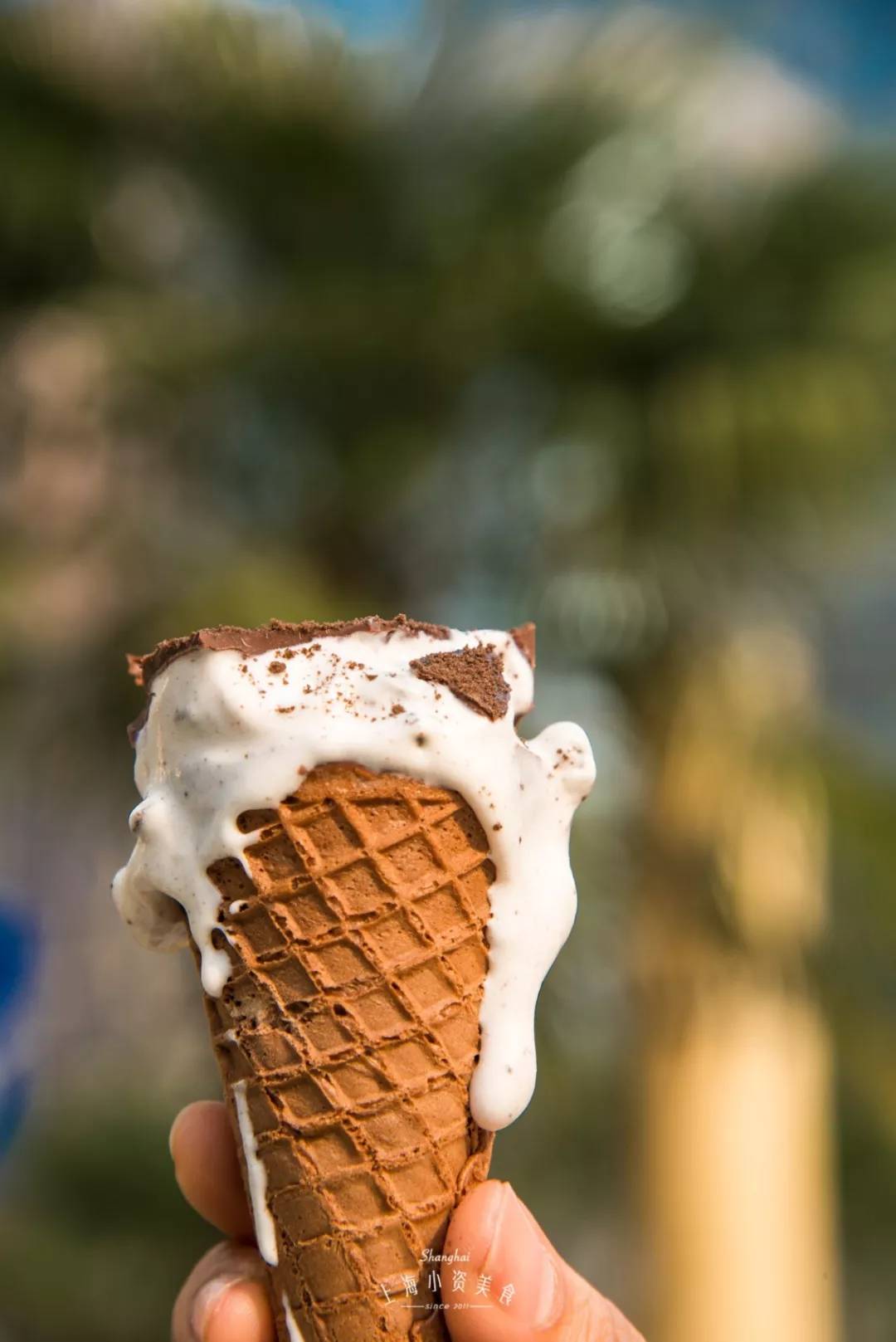 莫斯利安雪糕、双蛋黄雪糕，29款便利店新品雪糕测评来了！​