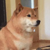 日语n2重要词汇表,jlpt日语n2