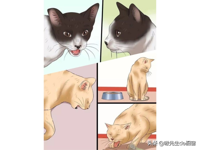 十几年前被猫咬伤没打狂犬疫苗,没被猫狗咬伤可以注射狂犬疫苗吗