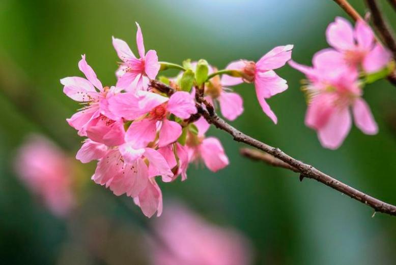 如果你爱上了一个有家庭的男人，要学会如此做