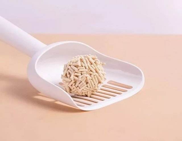 很乖的猫突然调皮了,很乖的猫开始乱尿