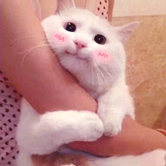 学会这几个唱歌技巧唱歌好听10倍,学唱歌必练的100个技巧