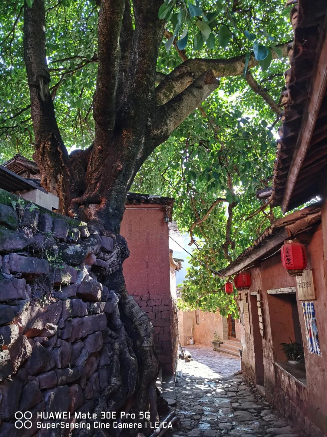 2023平遥国际摄影节获奖摄影作品,2009大理摄影展获奖作品