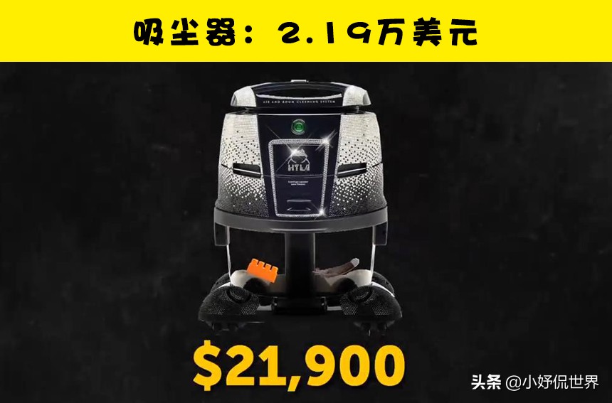 在这个世界上，你可能从未听说过的10个最为昂贵的物品