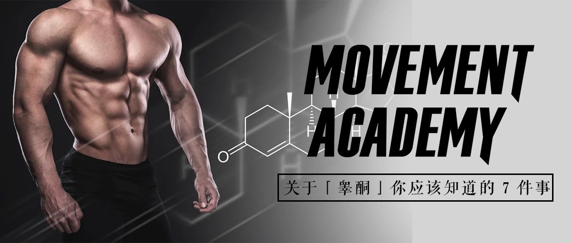 睾酮值的知识,关于睾酮