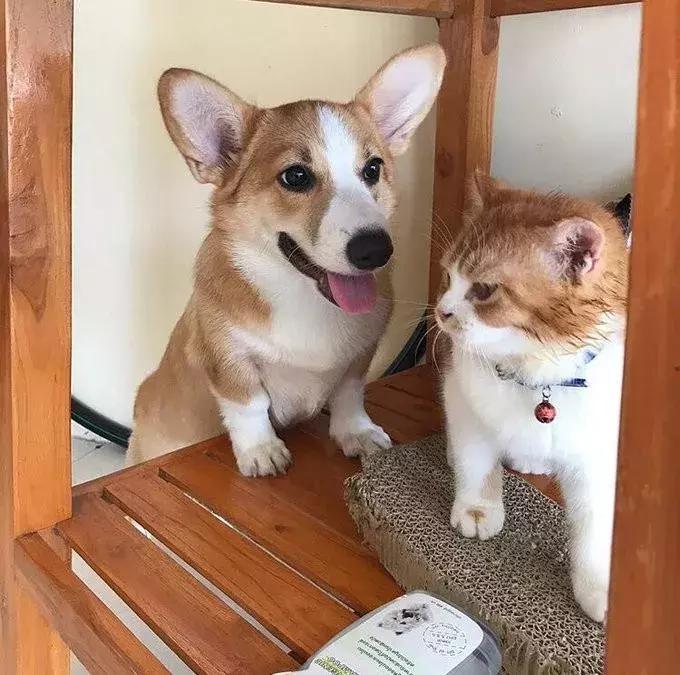 国外真人服装店模特,美国服装模特