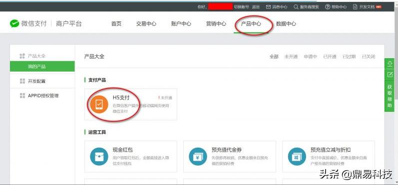 支付宝h5支付接口,h5商城支付接口