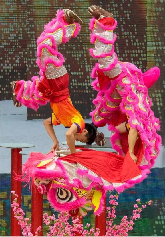 藤县狮王争霸赛时间,梧州狮王争霸赛