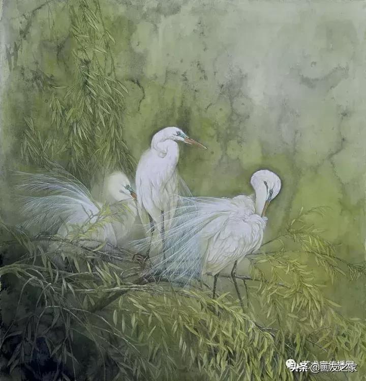 工笔孔雀上色步骤详解,工笔最顶级逼真孔雀画精品