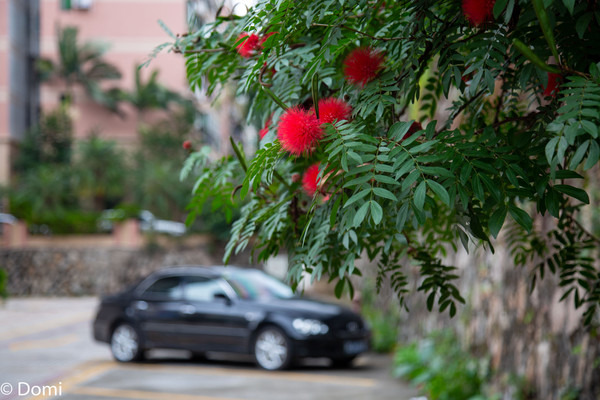 珠海值得游玩的地方推荐,珠海最值得玩的22个地方