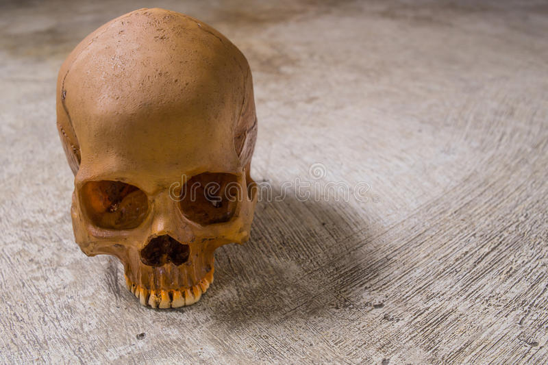 人类未来灭绝的最大隐患是什么,人类灭绝的技术