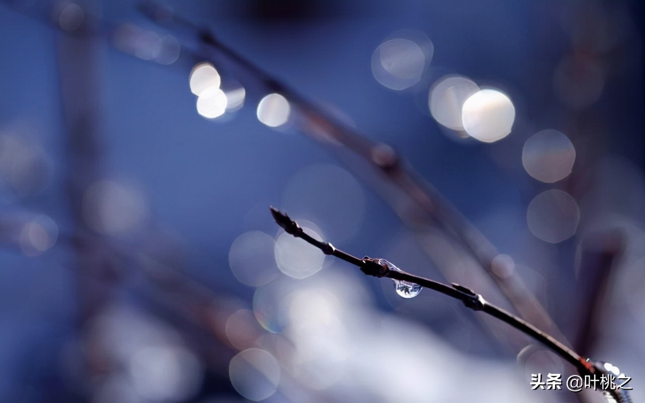 50岁人生才刚开始,真正的人生从50岁开始