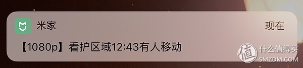 白天不在家猫喂食怎么办,白天不在家猫怎么养