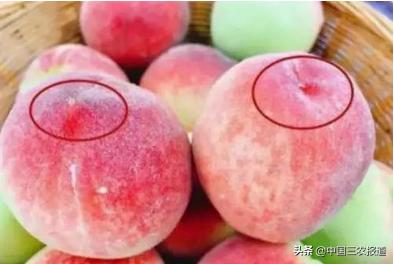 一桃难求!水蜜桃还可以吸着吃?一只能卖80元