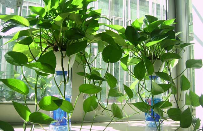 房子装修后要放多久可以入住,新房装修后要放多久可以入住