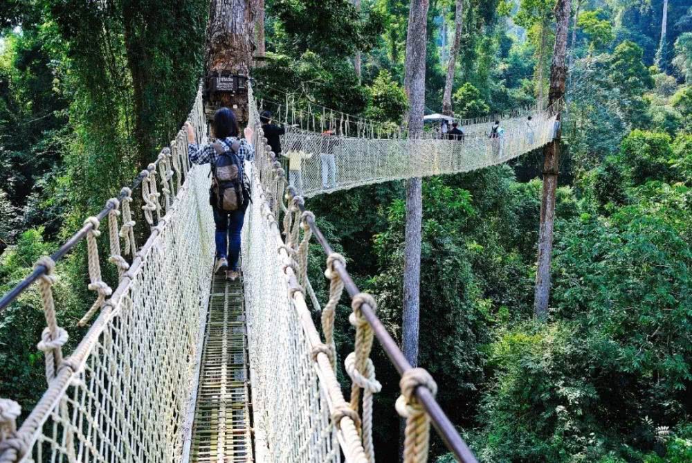 云南西双版纳幸福感,云南最有潜力的城市西双版纳