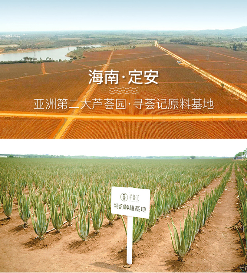 芦荟国货,芦荟护肤哪些值得信赖