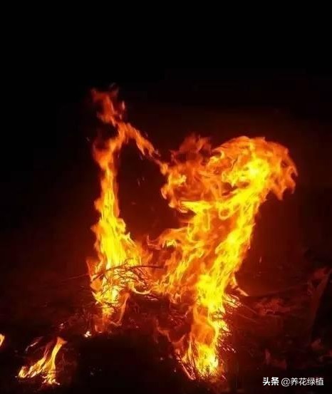 正月二十三习俗善财童子,正月二十三撩杆杆的习俗图片