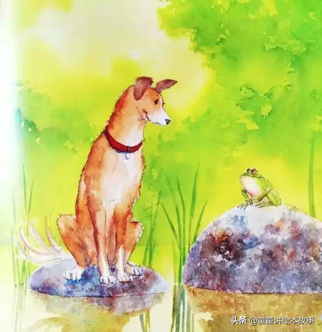 绘本故事有声小熊进城,绘本故事大城市里的小象